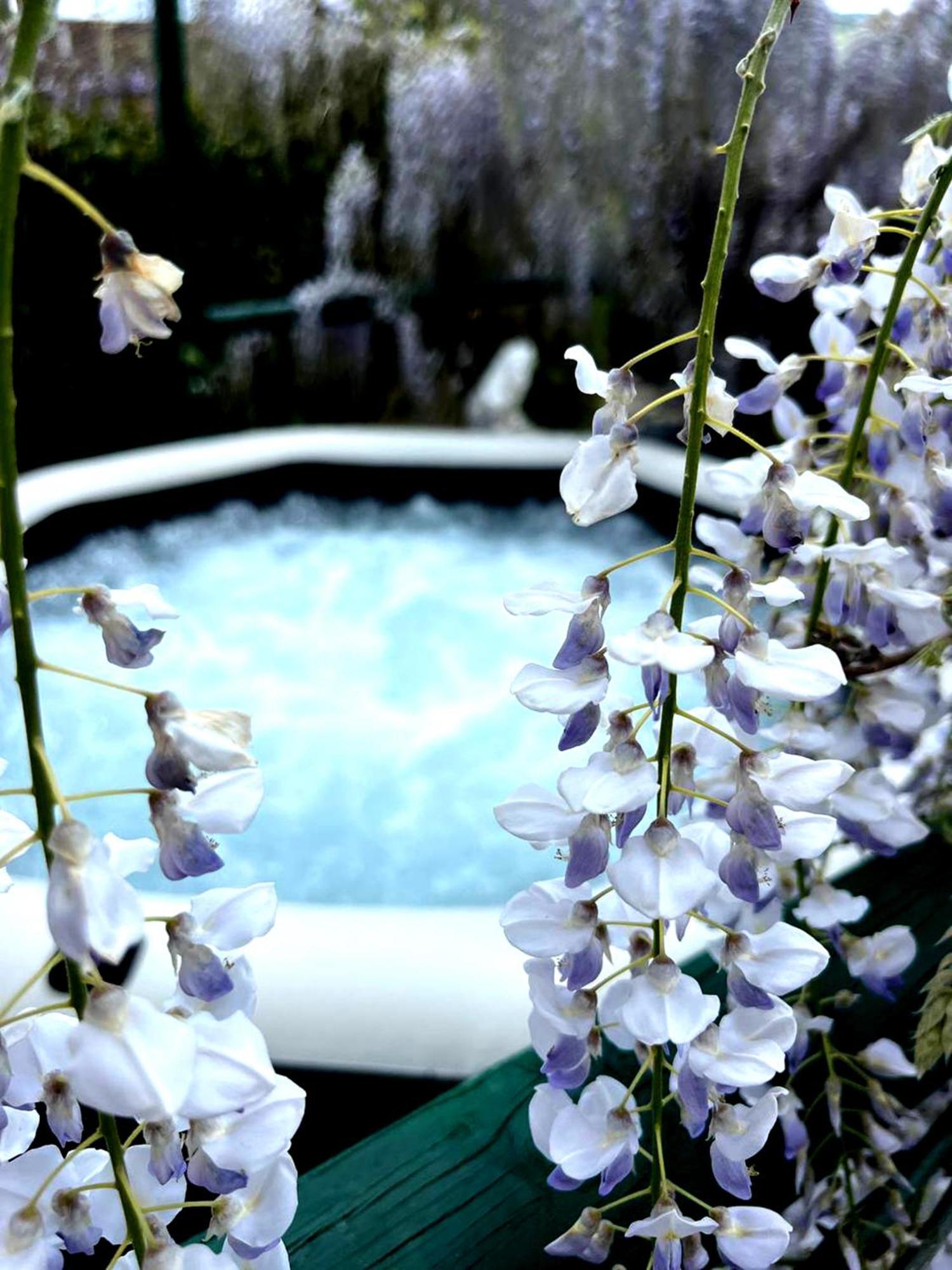 Gan Eden B&B San Benedetto Del Querceto Ngoại thất bức ảnh